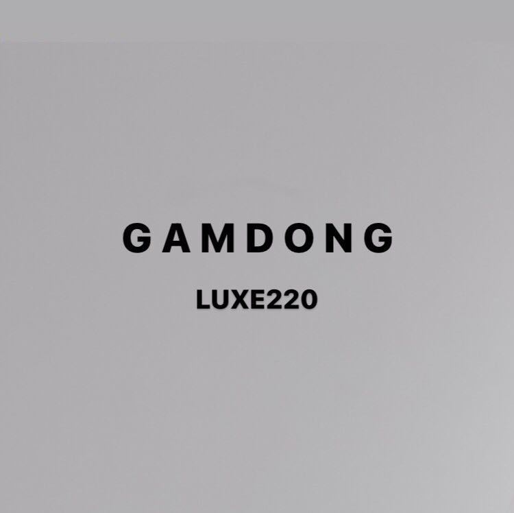 GAMDONG(apmluxe220) 产品图