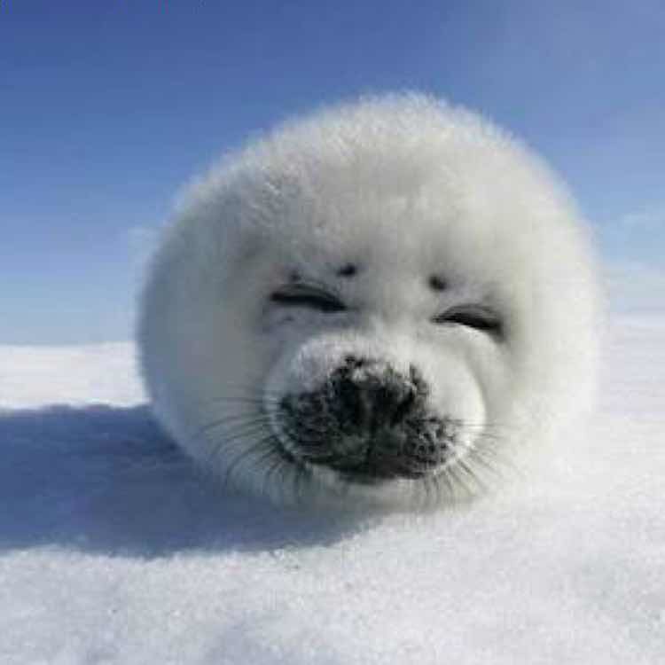 clouddd