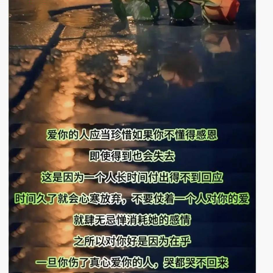 迷迷茫茫🌹🌹