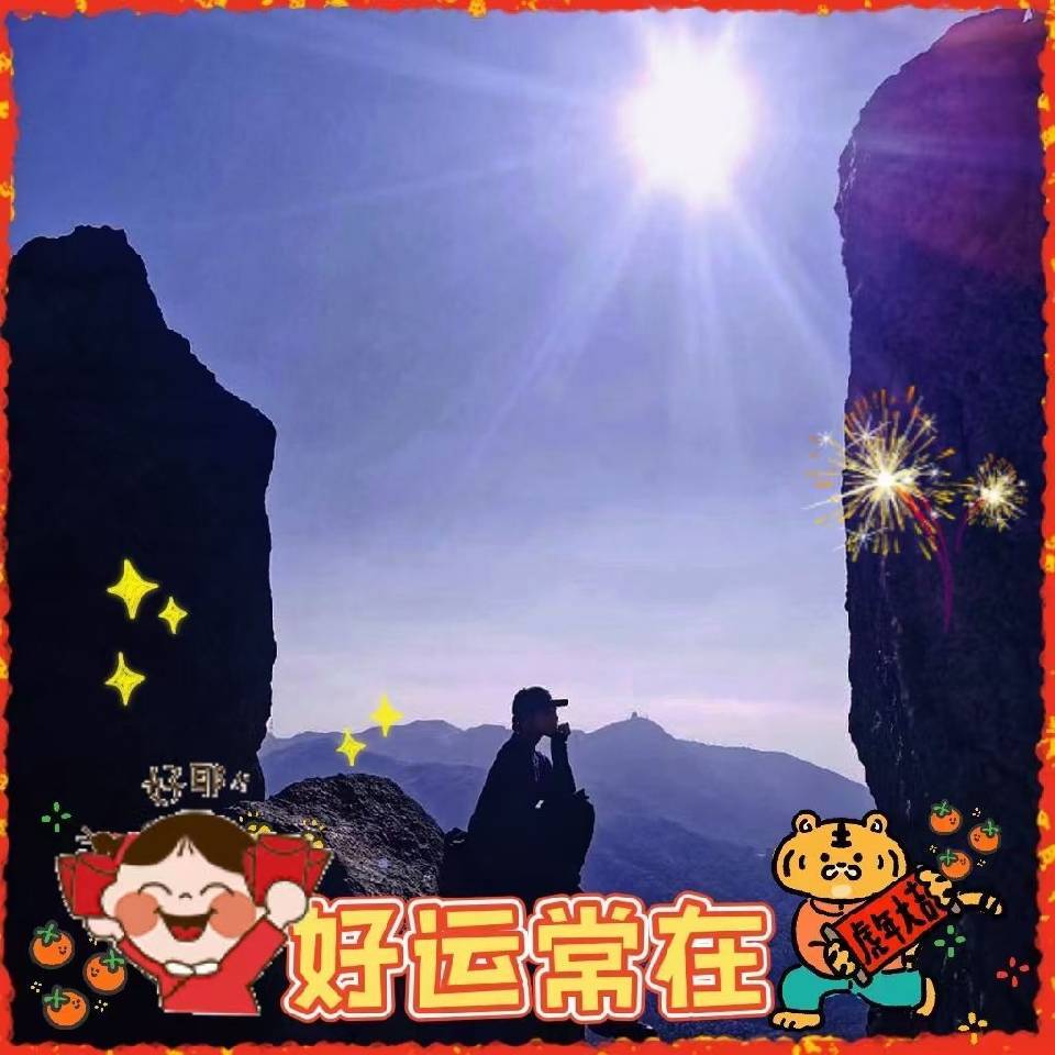 李鸿章传：守困与突围