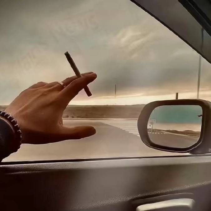 不碰感情