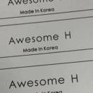 theot 4F H-4 awesome H